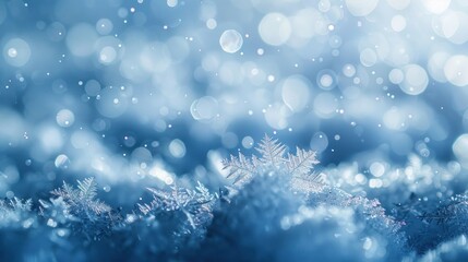 Winter Wonderland: A Close-Up View of a Delicate Snowflake