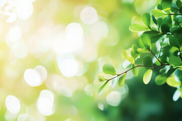 A close up of green leaves with a blurred background and copy space for your text in the spring season,eco-friendly,environment ecology concept.