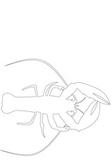 Lobster lineart design vector stock