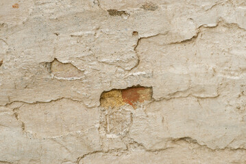 White painted wall as a background.