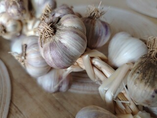 Bundle of Garlic Bulbs With Stems Still Attached