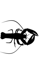  silhouette of a lobster design vector 