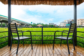 relaxing gazebo next to a rice paddy field after the rain