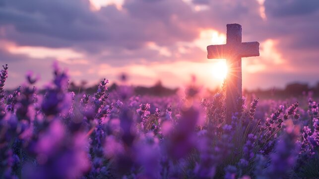 Peaceful Cross in a Lavender Field at Sunset with Purple Glow and Idyllic Atmosphere