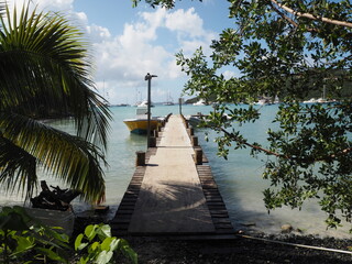 A pier into the sea in tropical surroundings