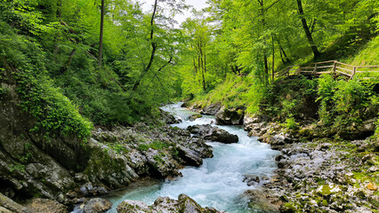 Vintgar Gorge, Slovenia, in bright spring day