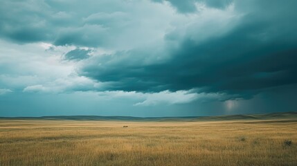 Fototapeta premium A vast open plain under a stormy sky, with the sound of thunder rumbling in the distance, creating a sense of anticipation and tension.