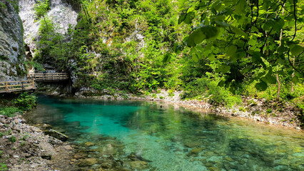 Vintgar Gorge, Slovenia, in bright spring day