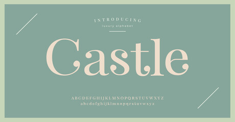 Castle Elegant Font Uppercase Lowercase and Number. Classic Lettering Minimal Fashion Designs. Typography modern serif fonts regular decorative vintage concept. vector illustration