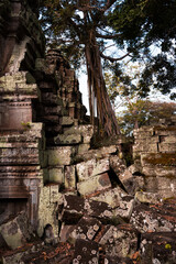 Naklejka premium Angkor Thom, ancient temple ruins in Cambodia jungle with tree roots