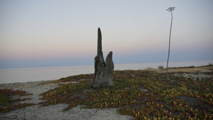 Fingerzeig