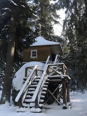 orthodox church in winter woods
