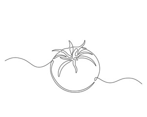 One continuous line drawing Tomato vegetable. Tomato single line illustration.