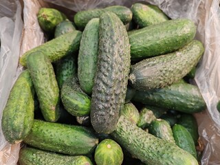 A box of cucumbers is piled high with green cucumbers
