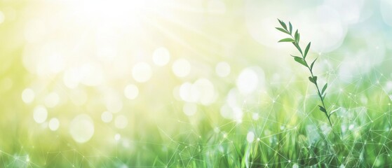 Obraz premium Fresh Green Plant Growth on Soft Blurred Background with Bokeh - Eco-Friendly Concepts