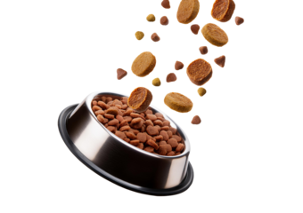 pet dog cat food flying isolated on transparent or white background
