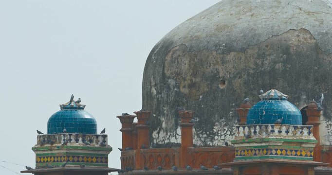 New Delhi, Delhi, India. Doves birds sitting on Babur's Tomb near The Humayun's tomb. Famous place is Tomb of Mughal emperor, Mirza Nasir al-Din Muhammad commonly known as Humayun situated in Delhi