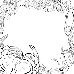 Seashell graphic template on white background. Hand drawn illustration in line art style. Underwater world, background for invitations, cards and bar menu