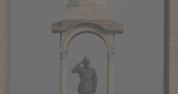 Delhi, India. Birds flying around of Statue of Subhas Chandra Bose. Netaji's Statue, is a monolithic statue made of black granite, dedicated to Netaji Subhas Chandra Bose, Indian freedom fighter and