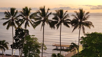 Obraz premium palm trees at sunset