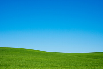 A serene and expansive green grass field stretches under a bright blue sky offering a peaceful natural backdrop.