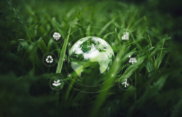 Globe on the green grass in the forest, environmental concept