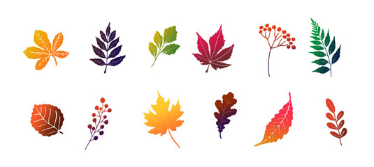 Set of autumn leaves with grainy gradient texture. Collection of halftone leaf