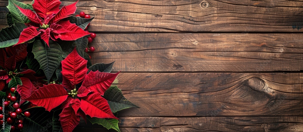 Poster vibrant red poinsettia against a rustic wooden background perfect for a copy space image