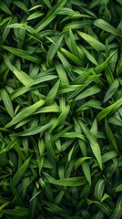 Fototapeta premium Lush and Vibrant Grass Texture for Outdoor Product Backgrounds and Natural Designs