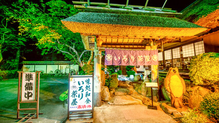Hakone, Japan - May 24, 2016: Hakone streets and vegetation at night