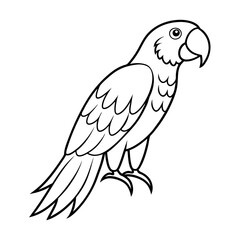 Macaw Bird Vector Illustration - Cartoon, Clipart, and Line Art Design
