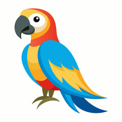 Macaw Bird Vector Illustration - Cartoon, Clipart, and Line Art Design