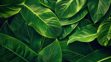 Green leaves realistic seamless