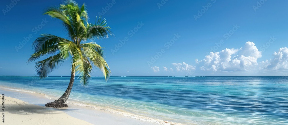 Poster A palm tree on a pristine beach with azure waters creating a serene scene with copy space image