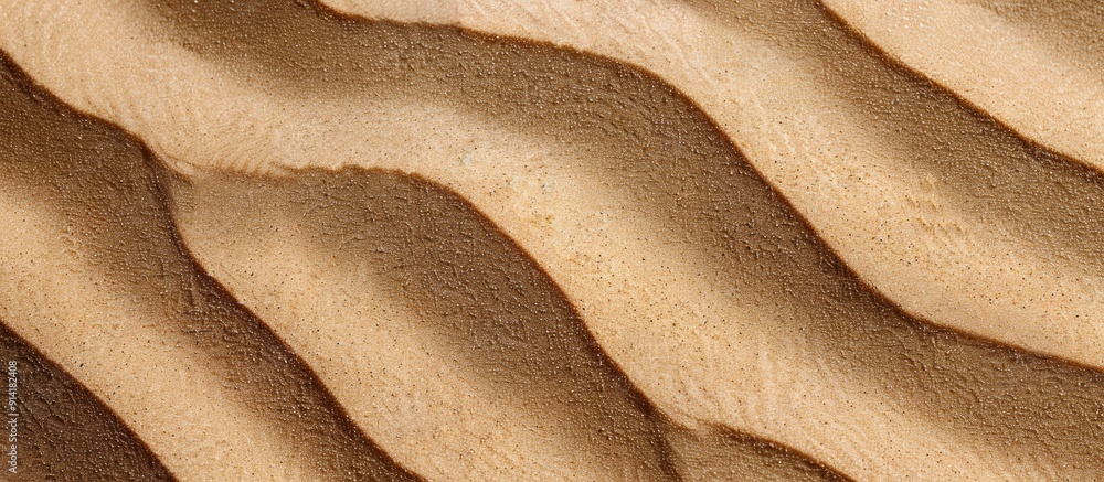Poster sandy dunes texture background up close with copy space image