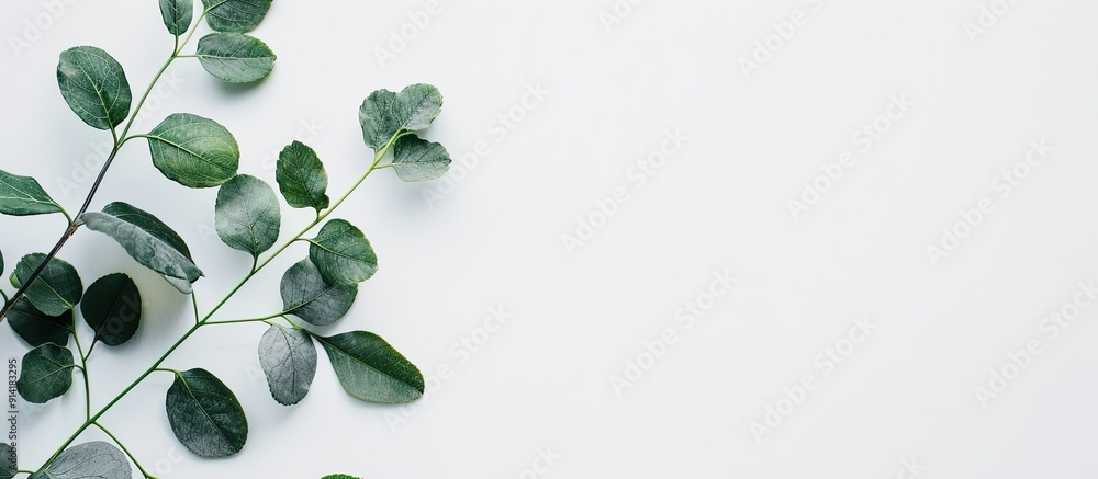 Aufkleber minimalist copy space image featuring leaves on a white backdrop
