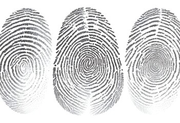 fingerprint illustration
