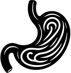 Silhouette of a Human Stomach, Medical Anatomy, Digestive System Concept, Health Education, Healthcare Illustration, Medical Diagrams, Science Visuals, Educational Materials, Biology Studies