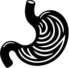 Silhouette of a Human Stomach, Medical Anatomy, Digestive System Concept, Health Education, Healthcare Illustration, Medical Diagrams, Science Visuals, Educational Materials, Biology Studies