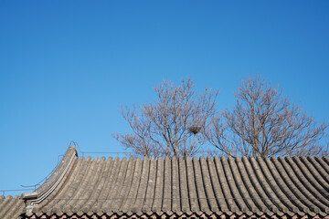 Grey roof ridge of Summer Palace Museum