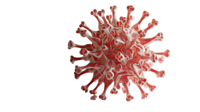3D model of a coronavirus virus on transparent background