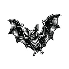 Old engraving style vector illustration