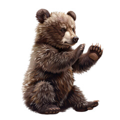 Obraz premium A cute, playful bear sitting with paws raised, showcasing its fluffy fur and endearing expression, ideal for wildlife themes. PNG transparent background.