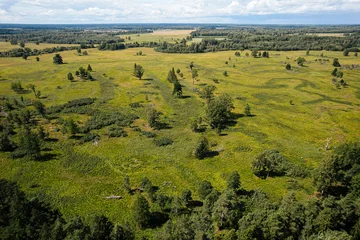 Aerial view of a verdant countryside featuring lush green fields interspersed with patches of dense forest. The landscape shows a mix of meadows, farmlands, and trees under a partly cloudy sky.