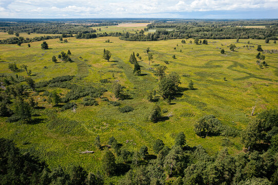 Aerial view of a verdant countryside featuring lush green fields interspersed with patches of dense forest. The landscape shows a mix of meadows, farmlands, and trees under a partly cloudy sky.