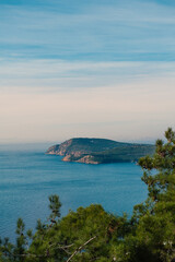 Scenic view of the sea and distant islands from Buyukada, Istanbul, framed by pine trees