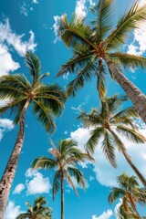 A group of palm trees in a natural landscape setting with a blue sky