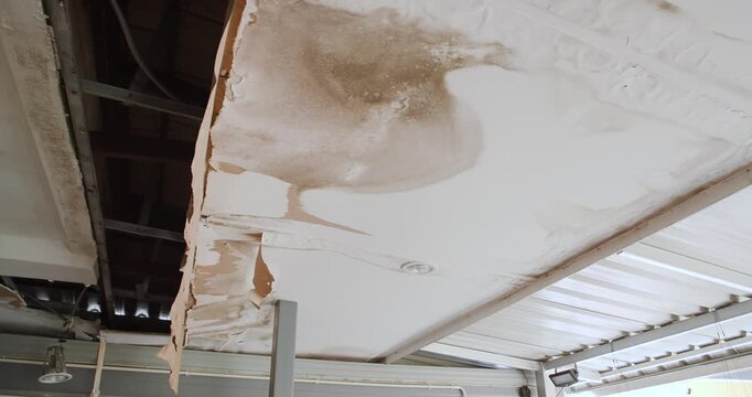 Office building or house problem for house service. Ceiling panels with fungus outside house from water pipes damaged or rainy leaked.