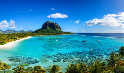 Indian Ocean, Mauritius Whales and sperm whales and vibrant coral reefs and sea Turtles. Mauritius island under waterfall, Mauritius undersea, Mauritius sea