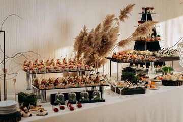 Assortment of delicious snacks on the open buffet festive table in restaurant. Catering plate